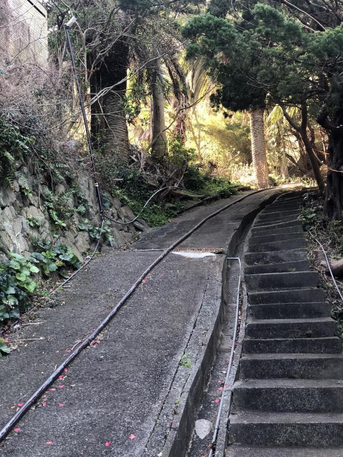 手石キャンプ場 南伊豆町 エクステリア 写真
