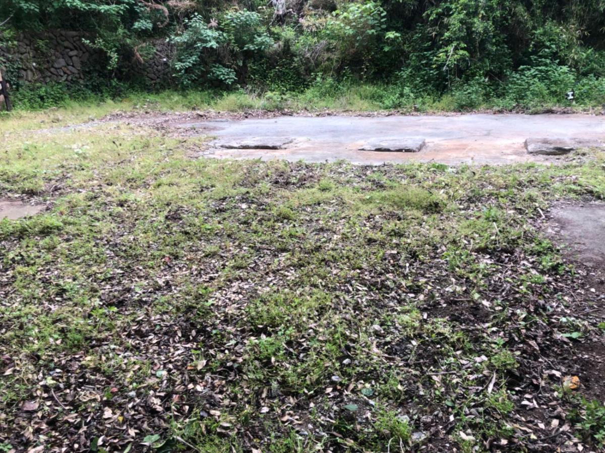 手石キャンプ場 南伊豆町 エクステリア 写真